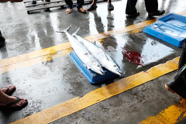Two fish on the ground at the fish auction