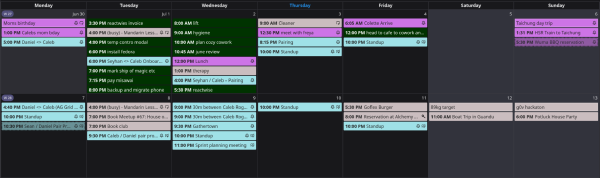 Screenshot of 2 weeks from my calendar