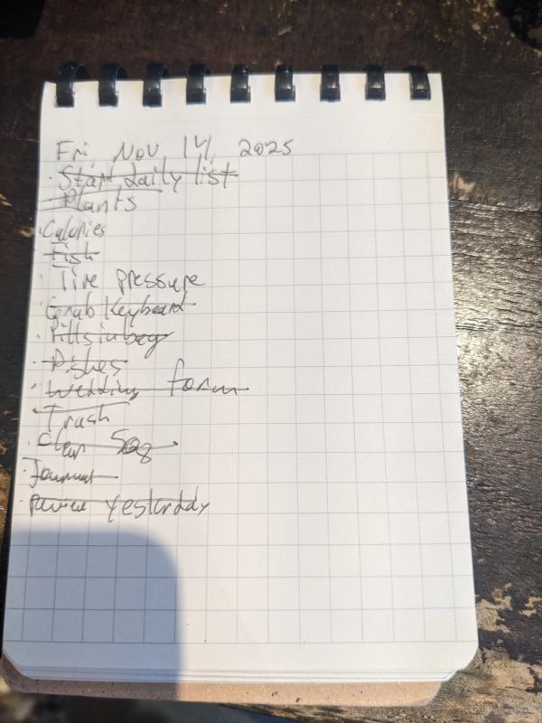 My daily todo list
