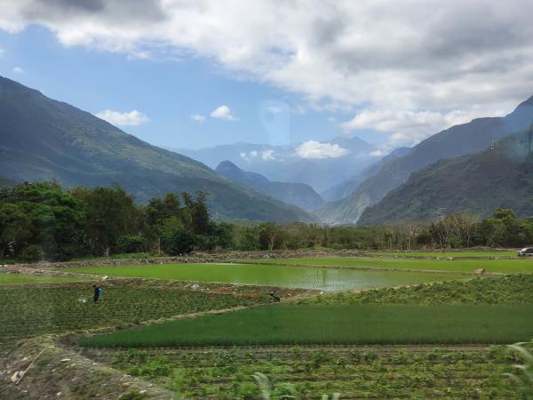 Mountains and rice farms.