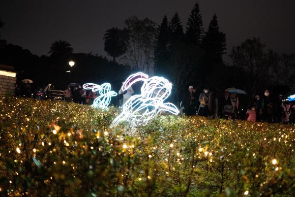 Another bunny exhibit at lantern festival.