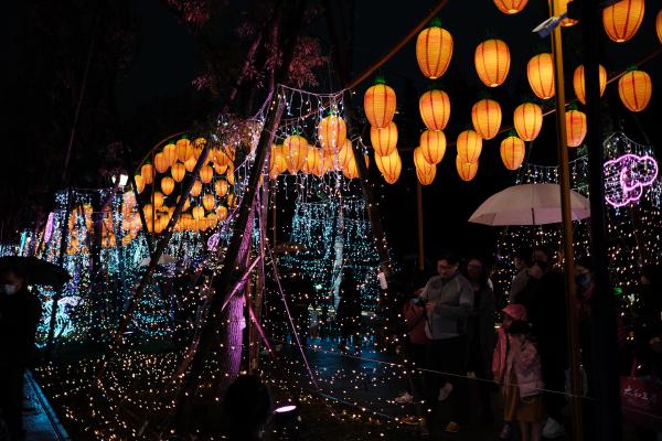 The carrot walk at lantern festival.