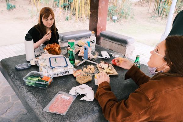 The picnic spread