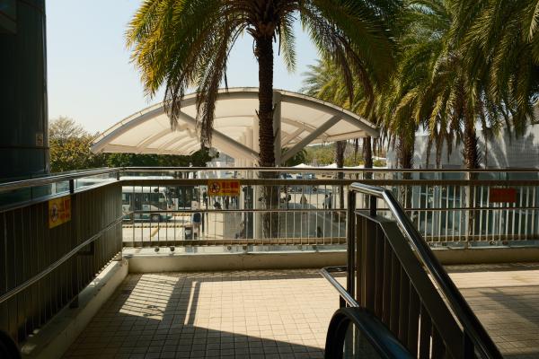 Palm trees outside of Tainan train station