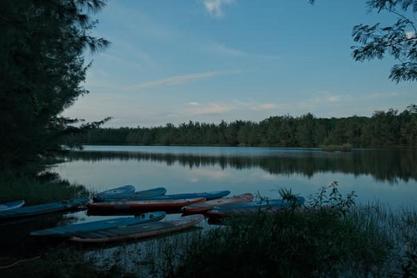 The stand up paddleboards in the morning.