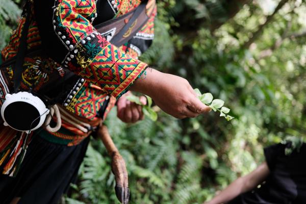 The tour guide holding an edible plant