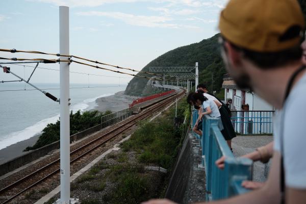 Bream looking at an approaching train